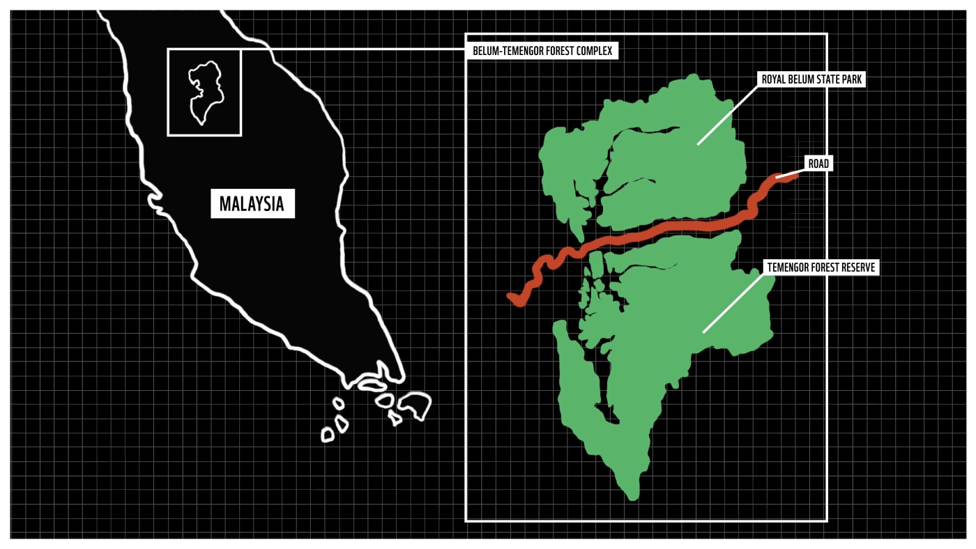 A black and white illustrative map shows Malaysia on the left, while a coloured illustrative map shows the Belum-Temengor Forest Complex in green, with a red road running through the centre.