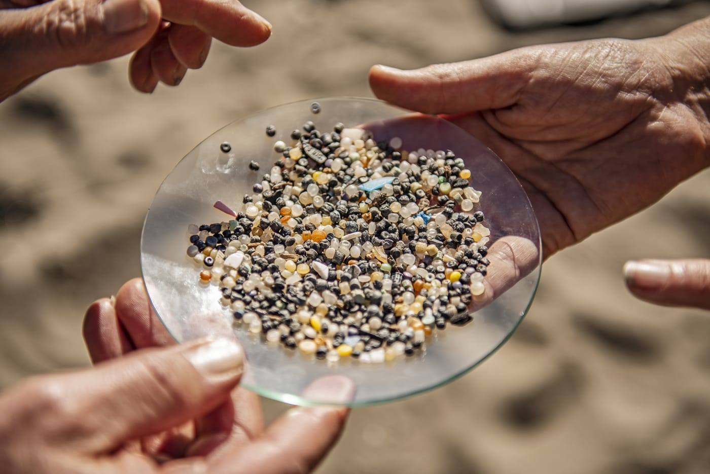 Microplastics collected in the UK