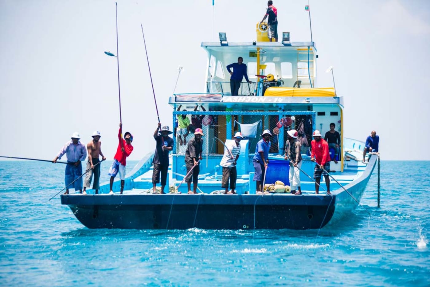 MSC Maldives skipjack fishery