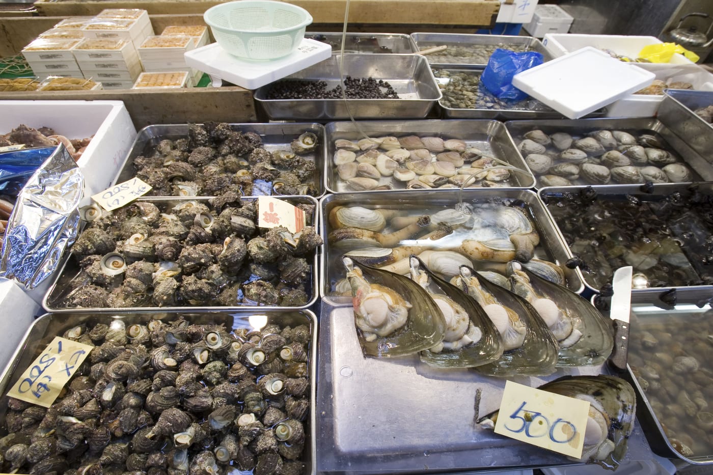 Mussels and shellfish for sale, Tsukiji fish market, Japan