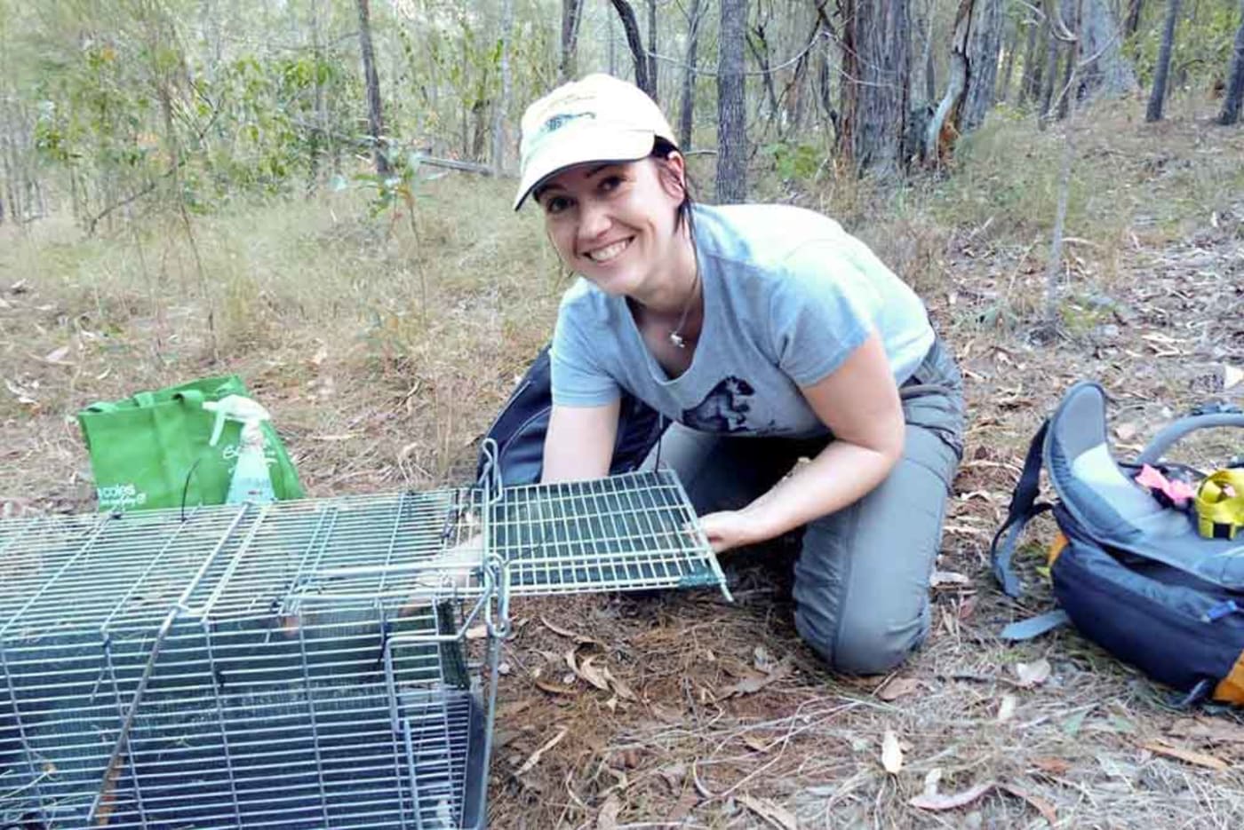 Preparing a northern bettong trap