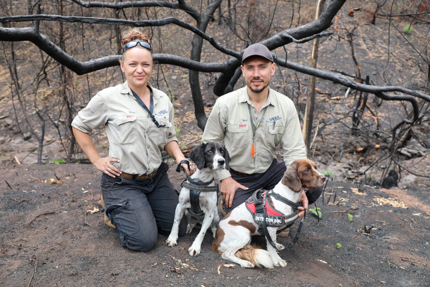 Olivia and Alex from OWAD Environment with detection dogs Missy, right and Taz, left
