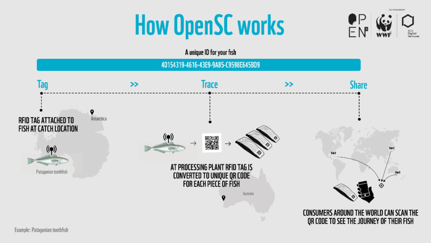 How OpenSC works