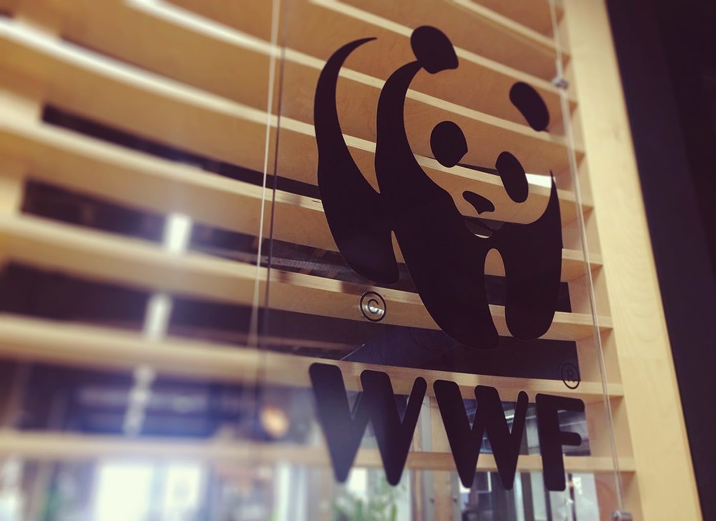 WWF Sydney office