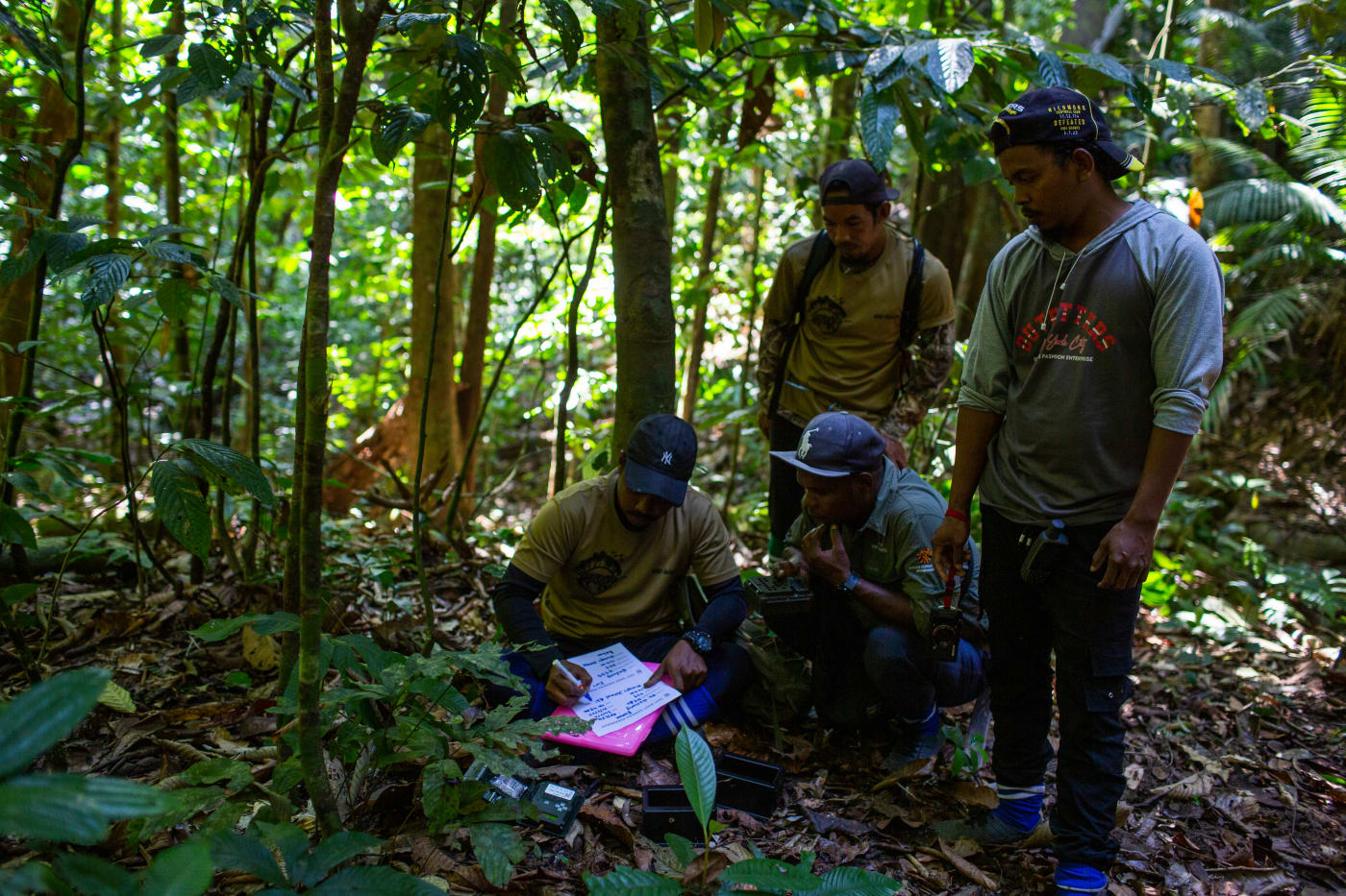 Four members of the patrol team logs data while surrounded by rainforest.