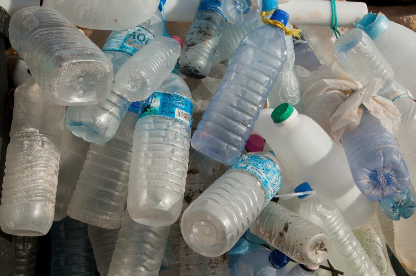 Plastic water bottles collected from a beach within a Marine Protected Area
