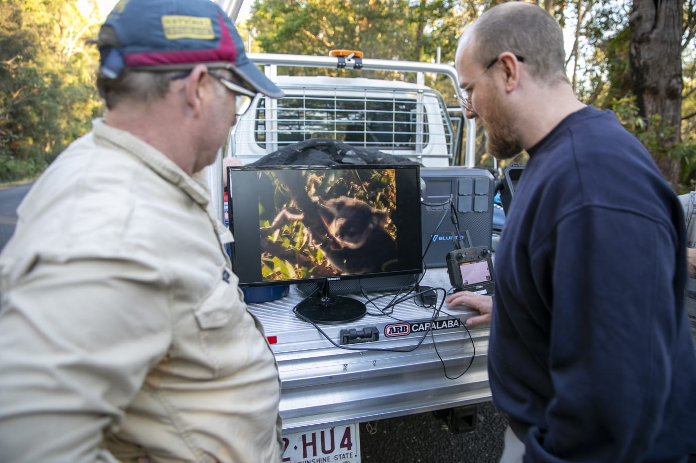 QYAC environmental specialist Dan Carter & Kenneth Geipel watch on as the drone’s thermal imaging camera detects a koala hot spot in the canopy