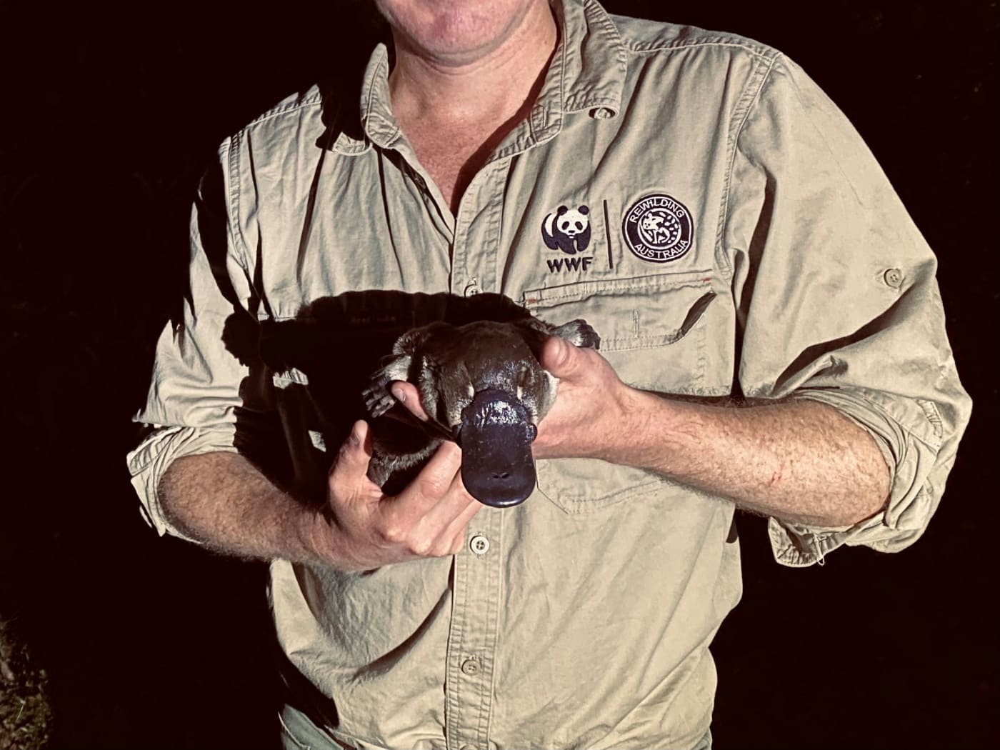 Rob holding a platypus he and Tahneal found during a platypus survey