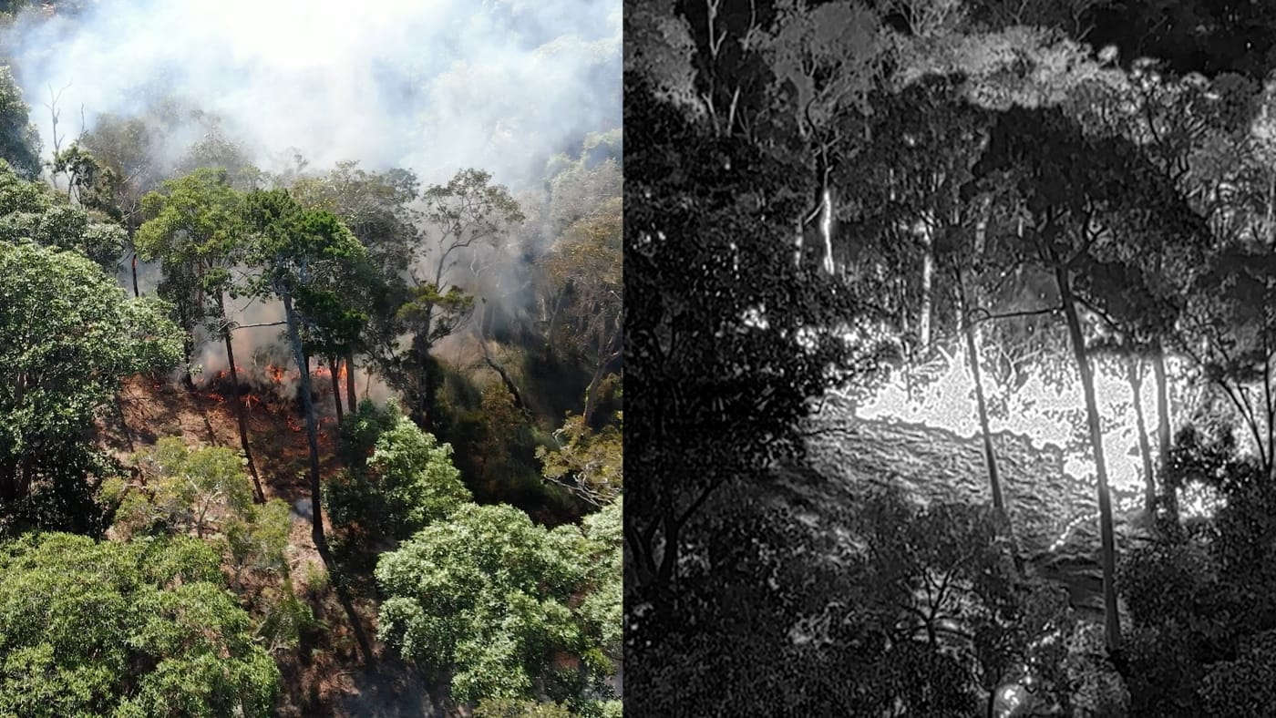 Standard and thermal imaging of cultural burn on Minjerribah (North Stradbroke Island)
