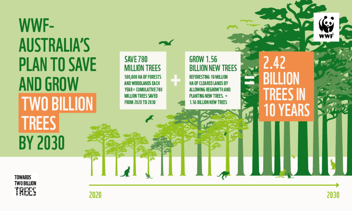 Towards 2 billion trees infographic