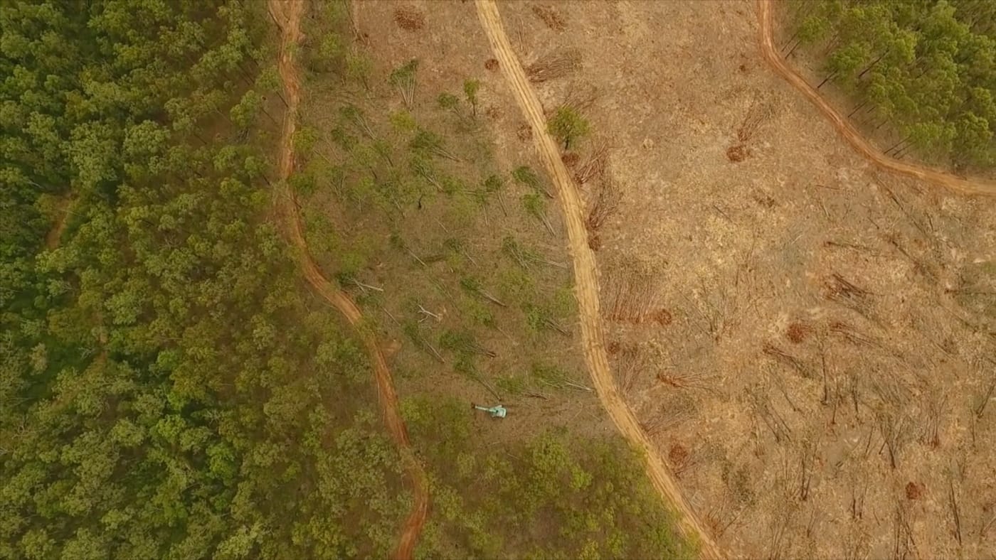 Tree clearing for urban expansion near Ipswich, Southeast Queensland