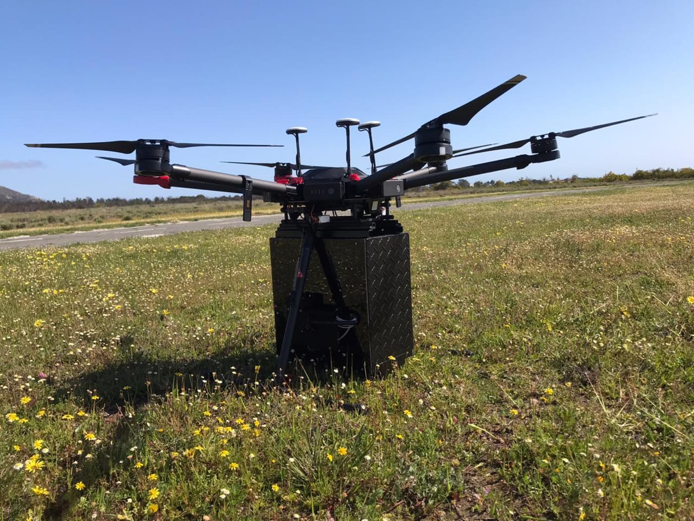 WWF-Australia is exploring deploying innovative techniques such as seed planting drones to help regenerate Australia after the bushfires.