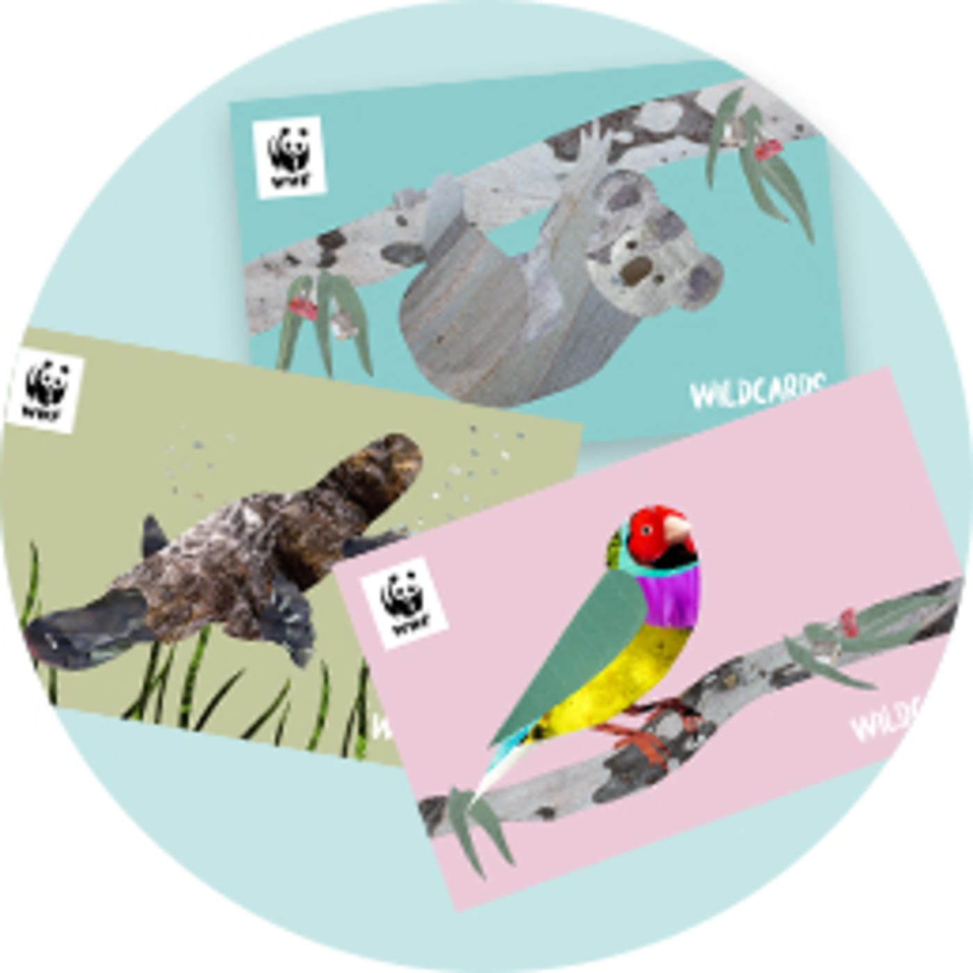 Image of 3 illustrated wildcards featuring a koala, platypus and bird