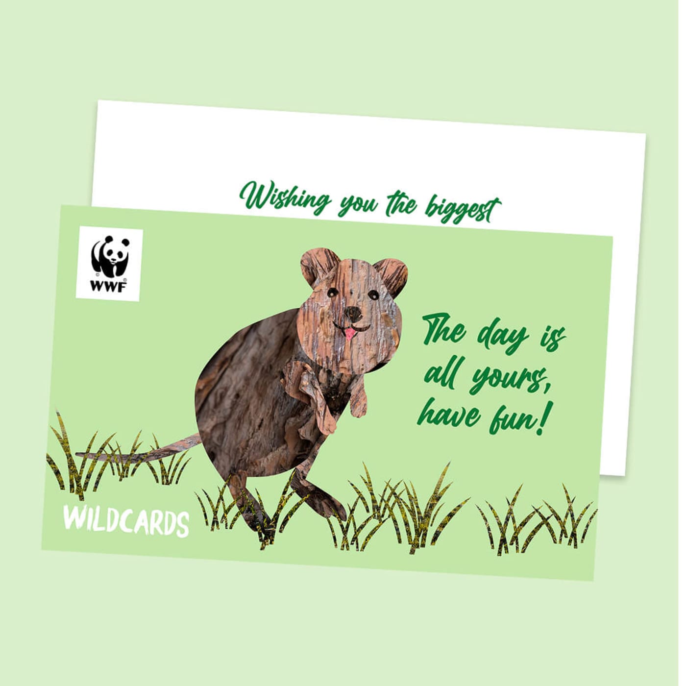 Illustration of a quokka with text that says 'the day is all yours, have fun!'