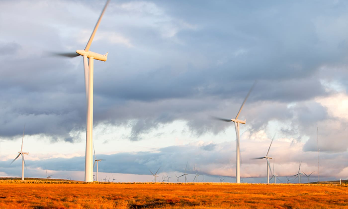 Renewable energy windmills in field