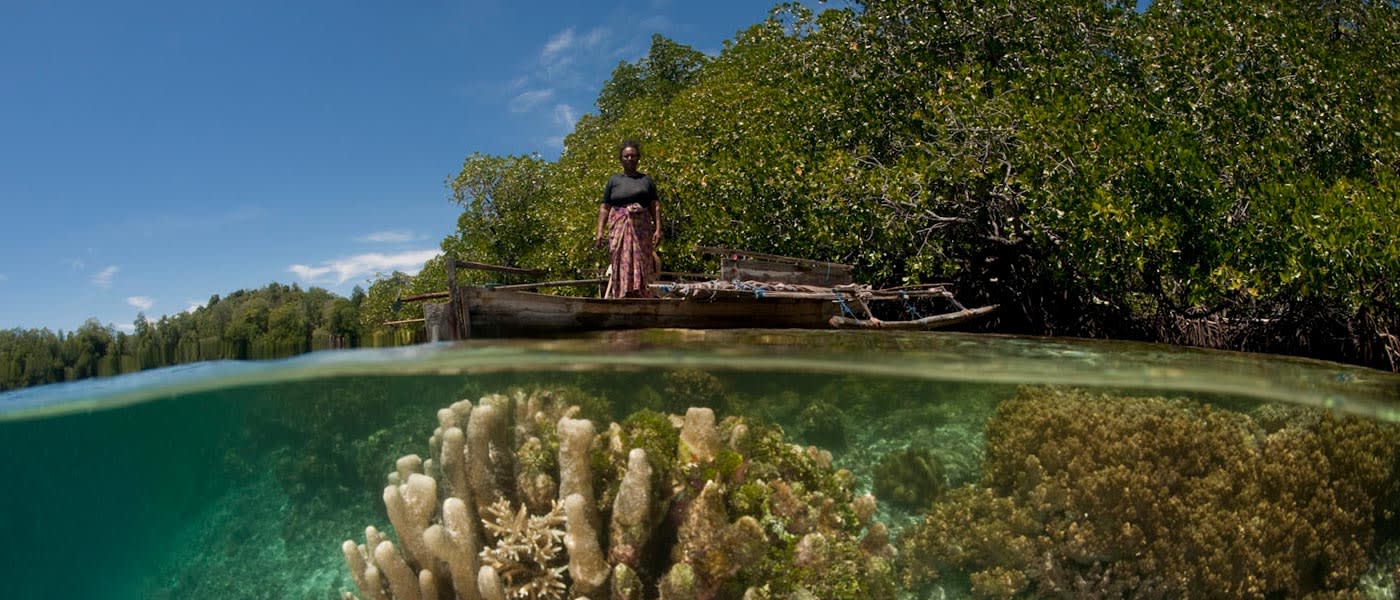 Split level of a shallow coral reef and mangroves with local West Papuan woman in her dugout canoe. West Papua, Indonesia