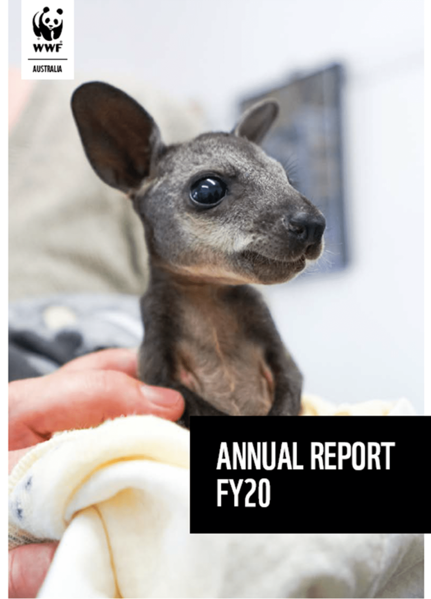 Annual Report FY20 cover