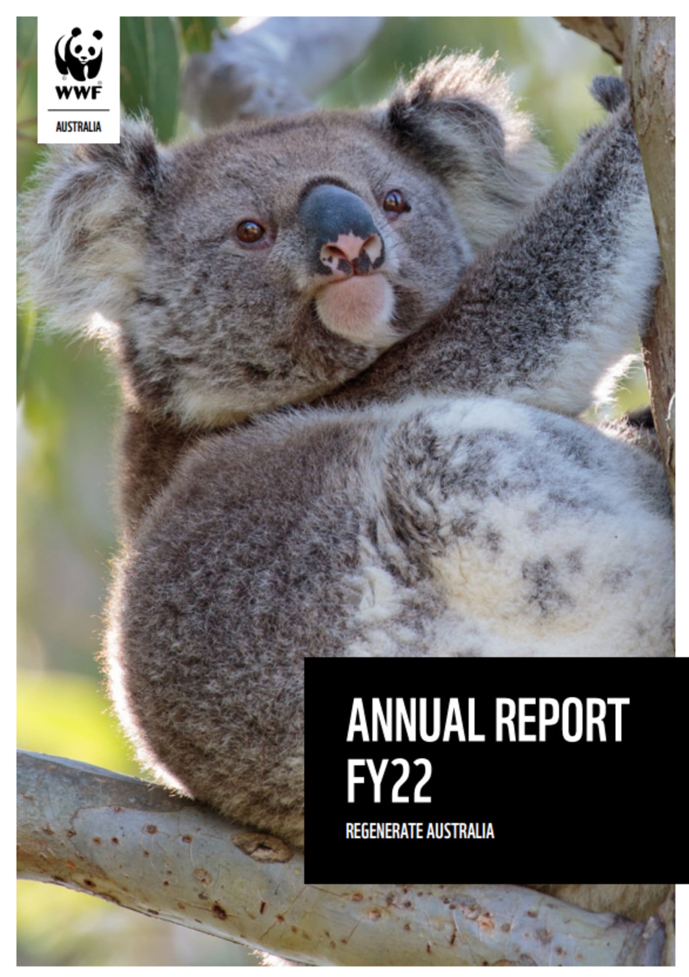 Annual Report FY22 cover