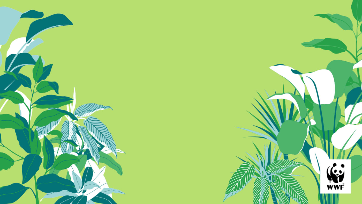 Green plant desktop wallpaper