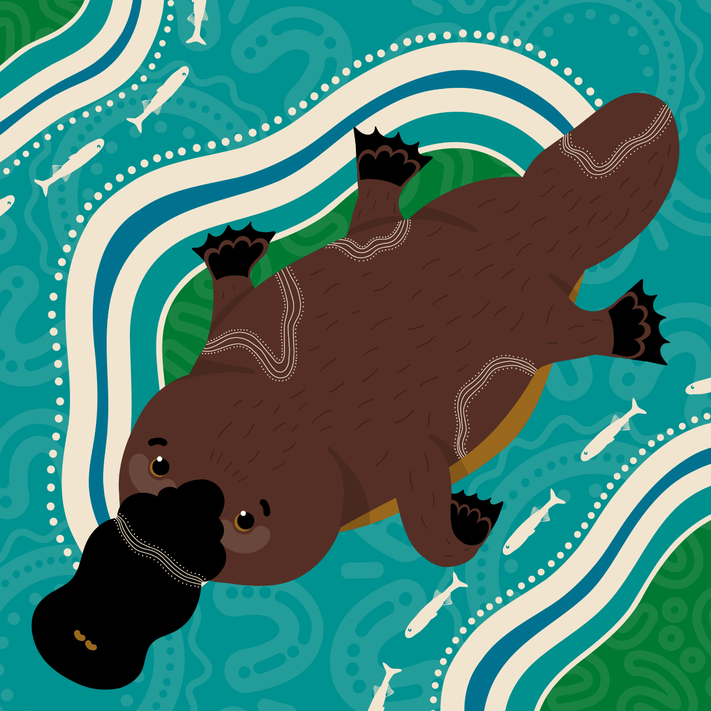 Kamilaroi artist Teagan Malcolm's depiction of the platypus (square).