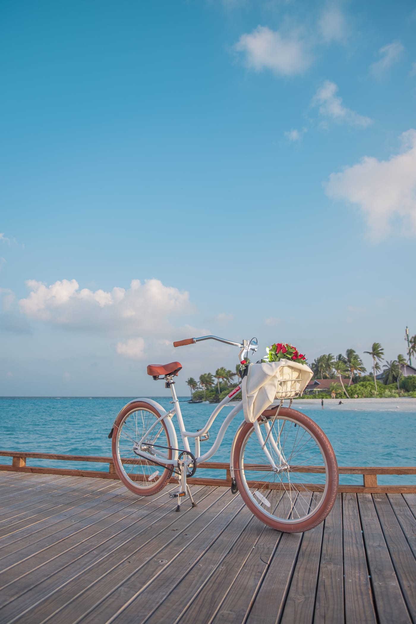 Bicycle with basket along seaside