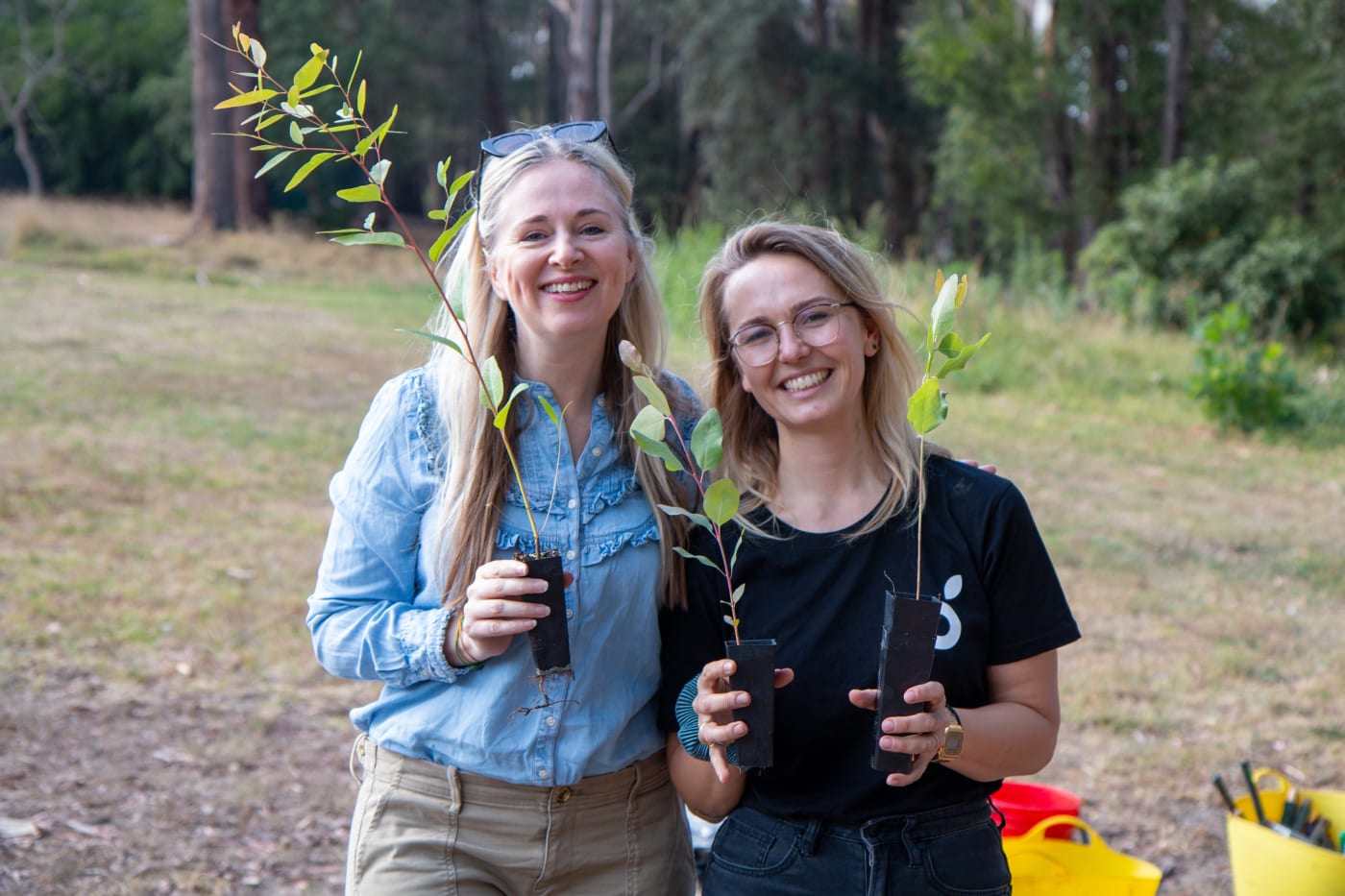 Staff from online furniture business Koala at a tree planting event at Cook Park in Ruse. The event included a live cross on the Today Show to promote Koala's support of WWF-Australia's Towards Two Billion Trees campaign.