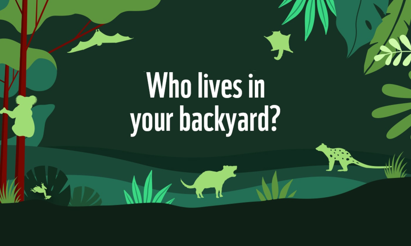 Who lives in your backyard image