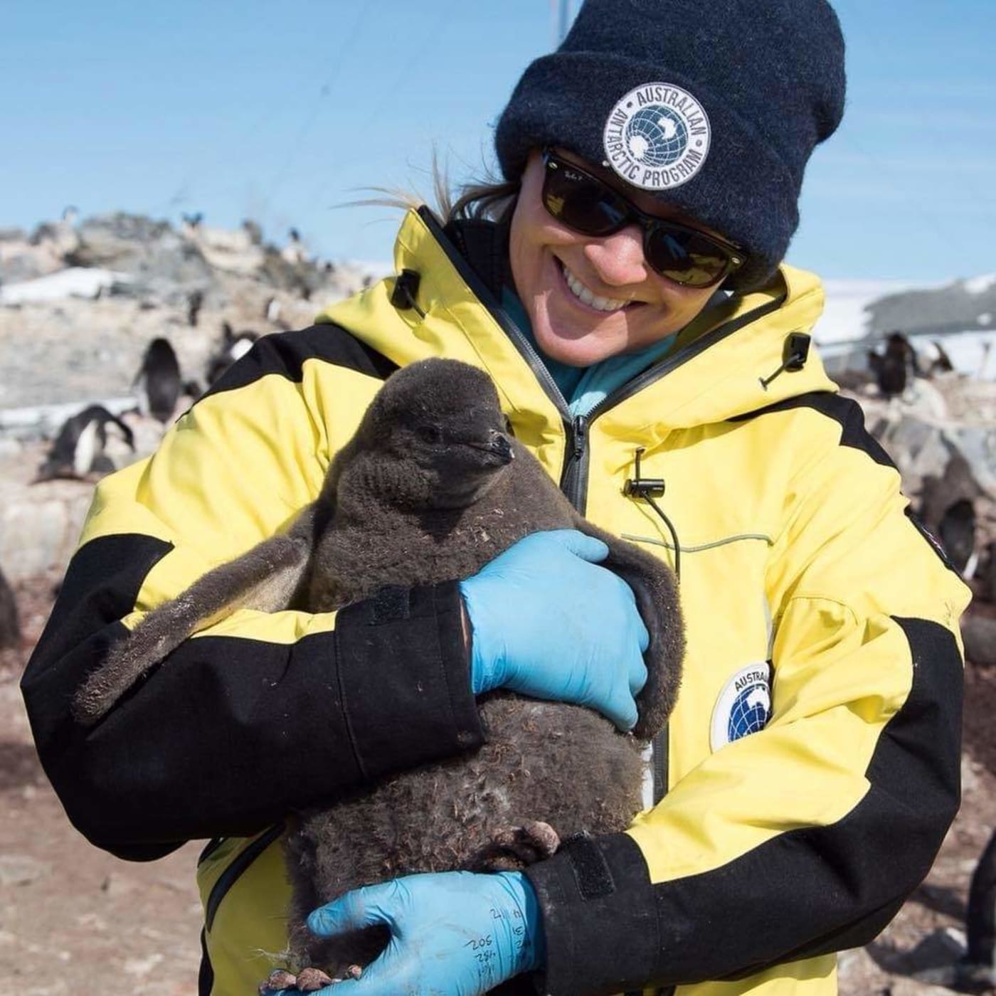 WWF Antarctic Conservation Manager working as a penguin biologist in Hope Bay, Antarctica.