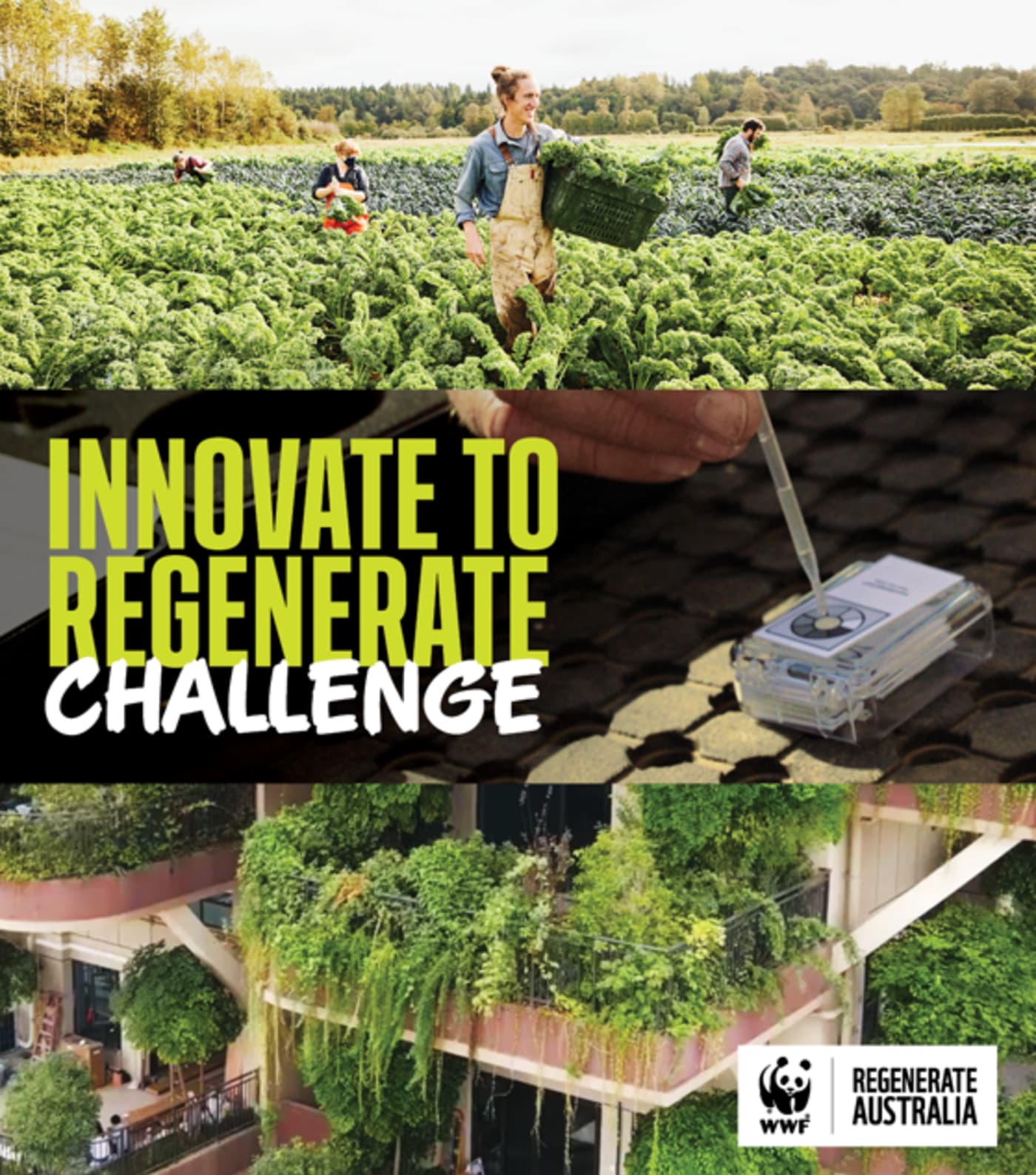 Innovate to regenerate banner