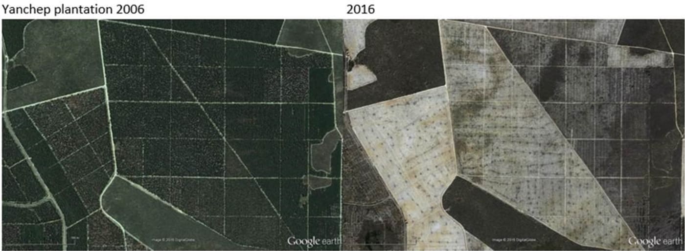 Google Earth image of Yanchep pine plantations= Western Australia in 2002 and 2016