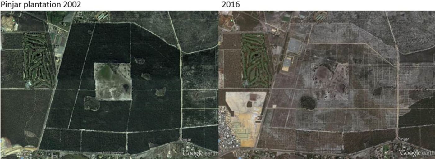 Google Earth image of Pinjar pine plantations= Western Australia in 2002 and 2016