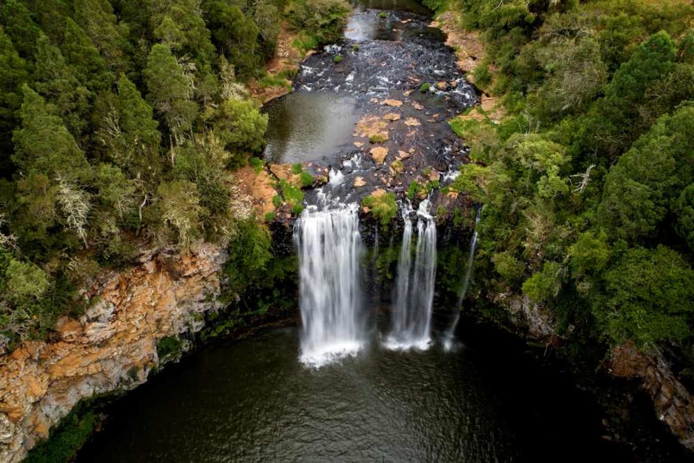 Dangar Falls= Dorrigo= Bellingen Shire= NSW