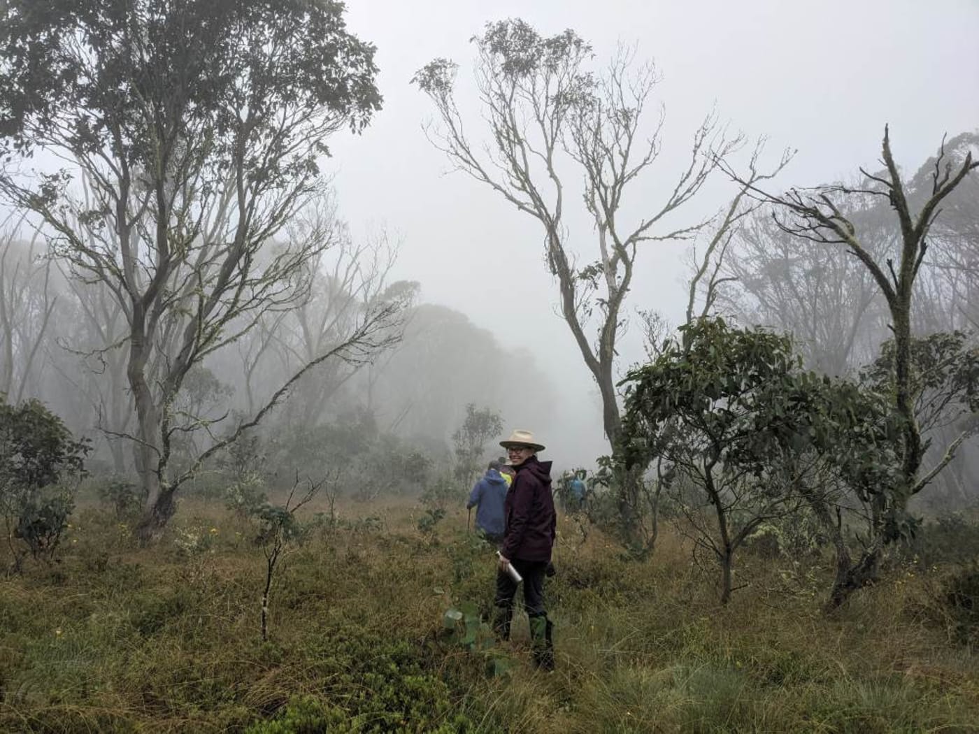 Georgia Davis= WWF= with other volunteers searching for rare plants in Namadgi National Park= ACT