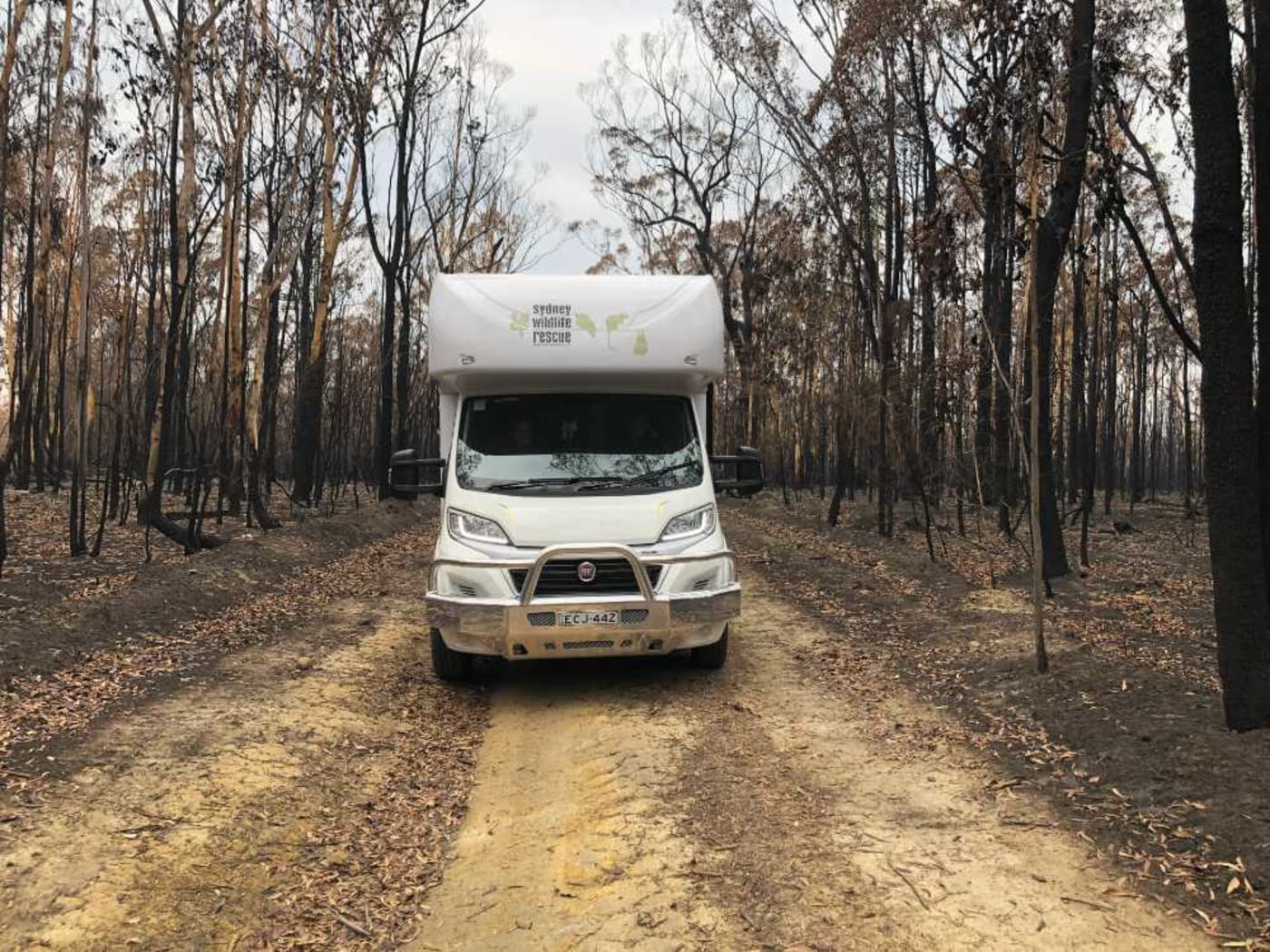 Sydney Wildlife Rescue’s mobile care unit responding to the bushfires in 2020