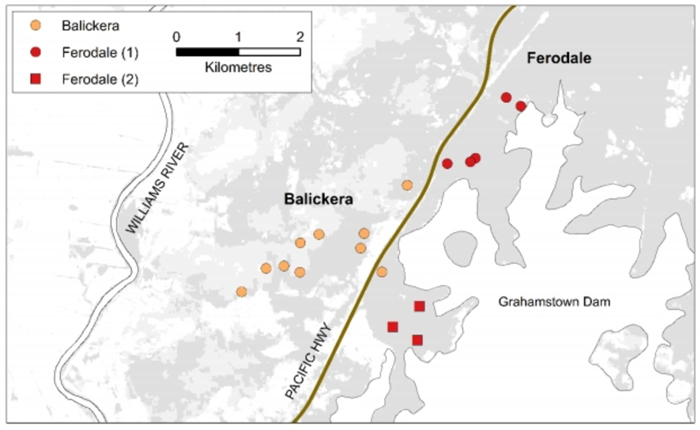 Differentiation observed between Koalas sampled in Balickera and Ferodale, Port Stephens