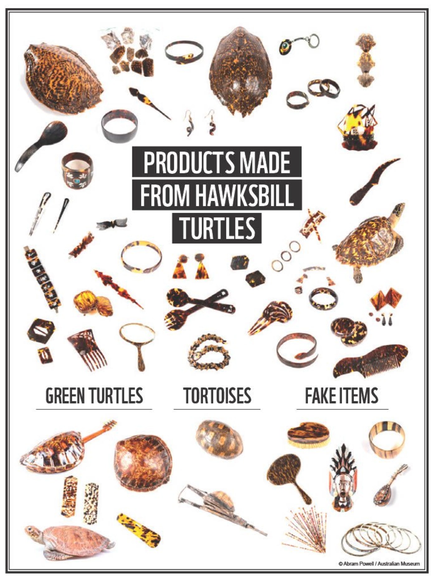 Products made from hawksbill turtles that were donated to the Surrender Your Shell project