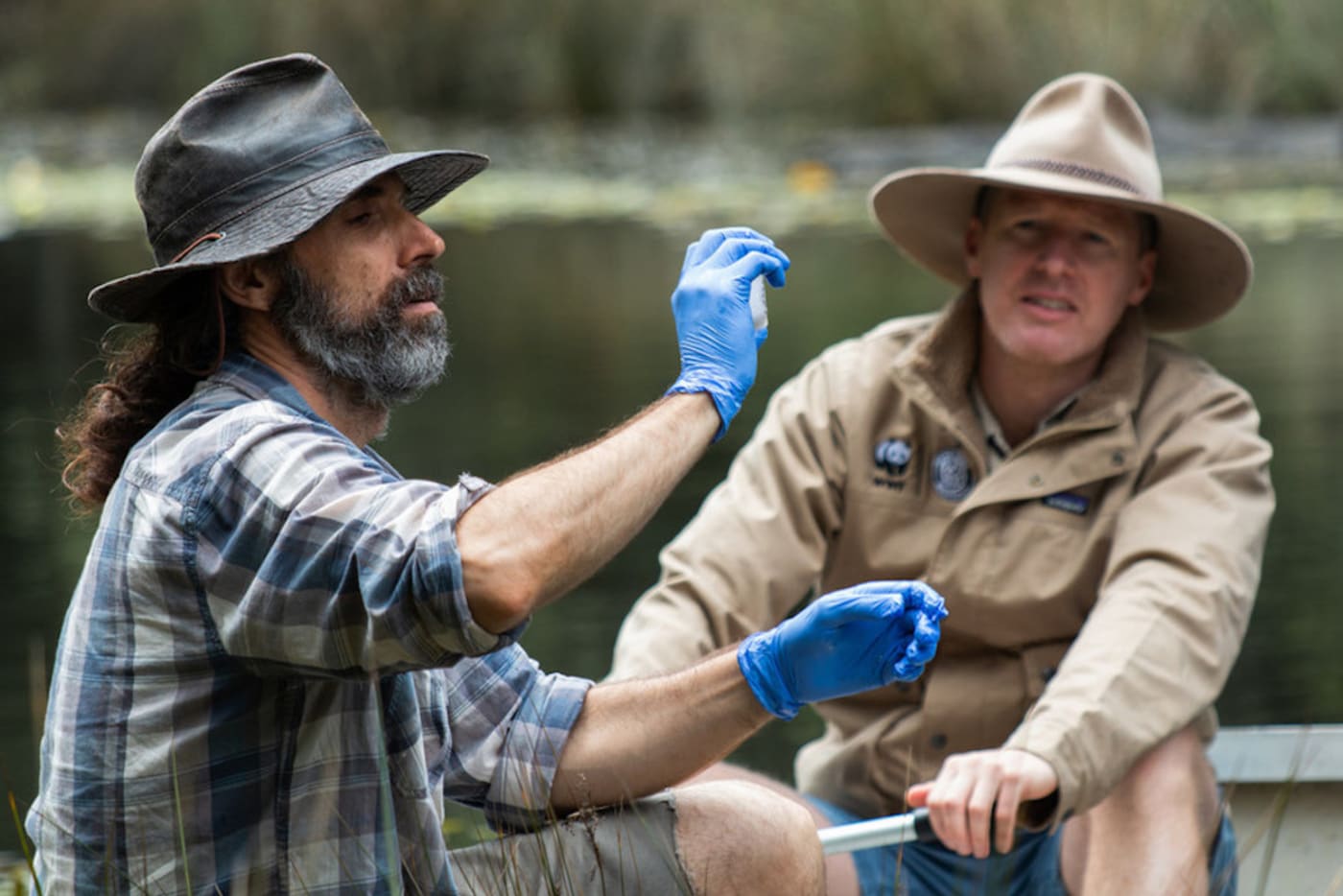 UNSW researcher Gilad Bino (left) and WWF-Australia’s Rob Brewster (right) collect samples of environmental DNA (eDNA) from a creek in the Royal National Park in Sydney