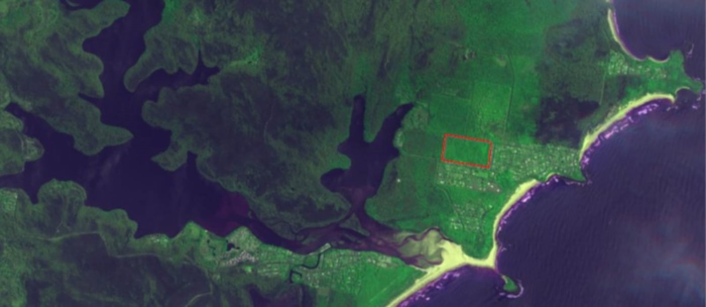 A satellite image from 10 January 2020 shows the unburnt 20 hectare block in Manyana surrounded by scorched bush