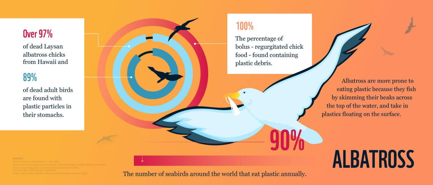 90% of seabirds around the world eat plastic annually