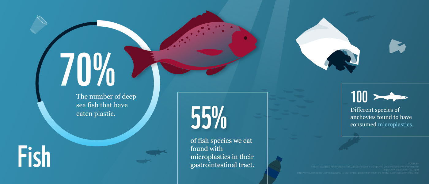 70% of deep sea fish have eaten plastic