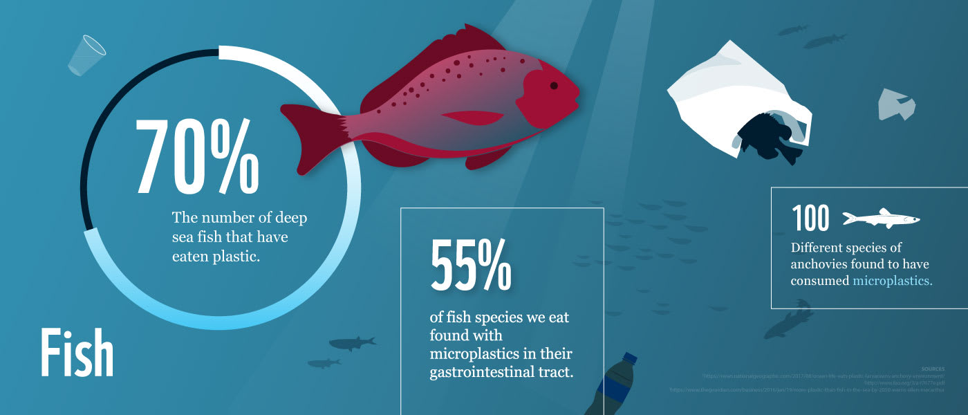 In the Pacific Ocean, One of the World's Most Popular Fishes Could Use a  Management Makeover