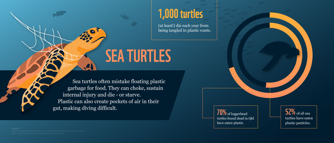 At least 1=000 turtles die each year from being tangled in plastic waste