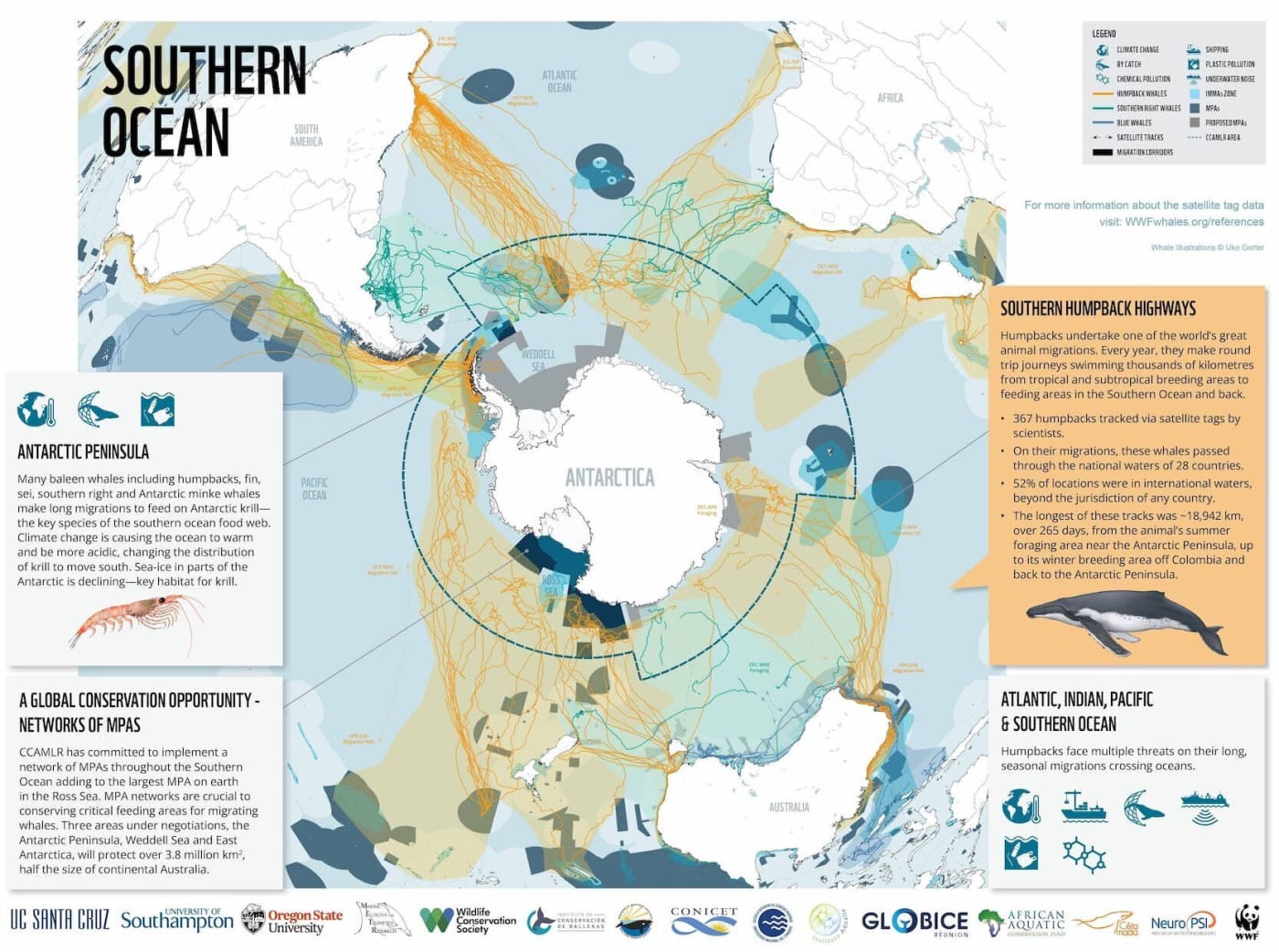 WWF PCB Report Infographic Southern Ocean