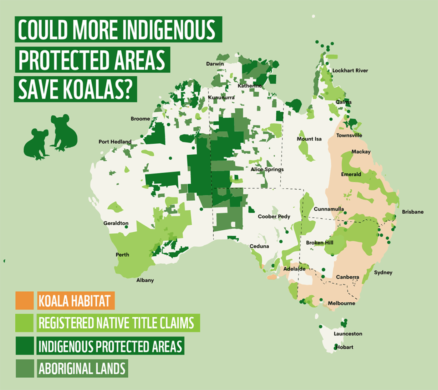 Map of Australia showing the location of Indigenous Protected Areas, existing registered Native Title claim,  and viable koala habitat. Aboriginal and Torres Strait Islander people have established and built land and sea management arrangements to care for Country and culture upon the successful claim  of Native Title.