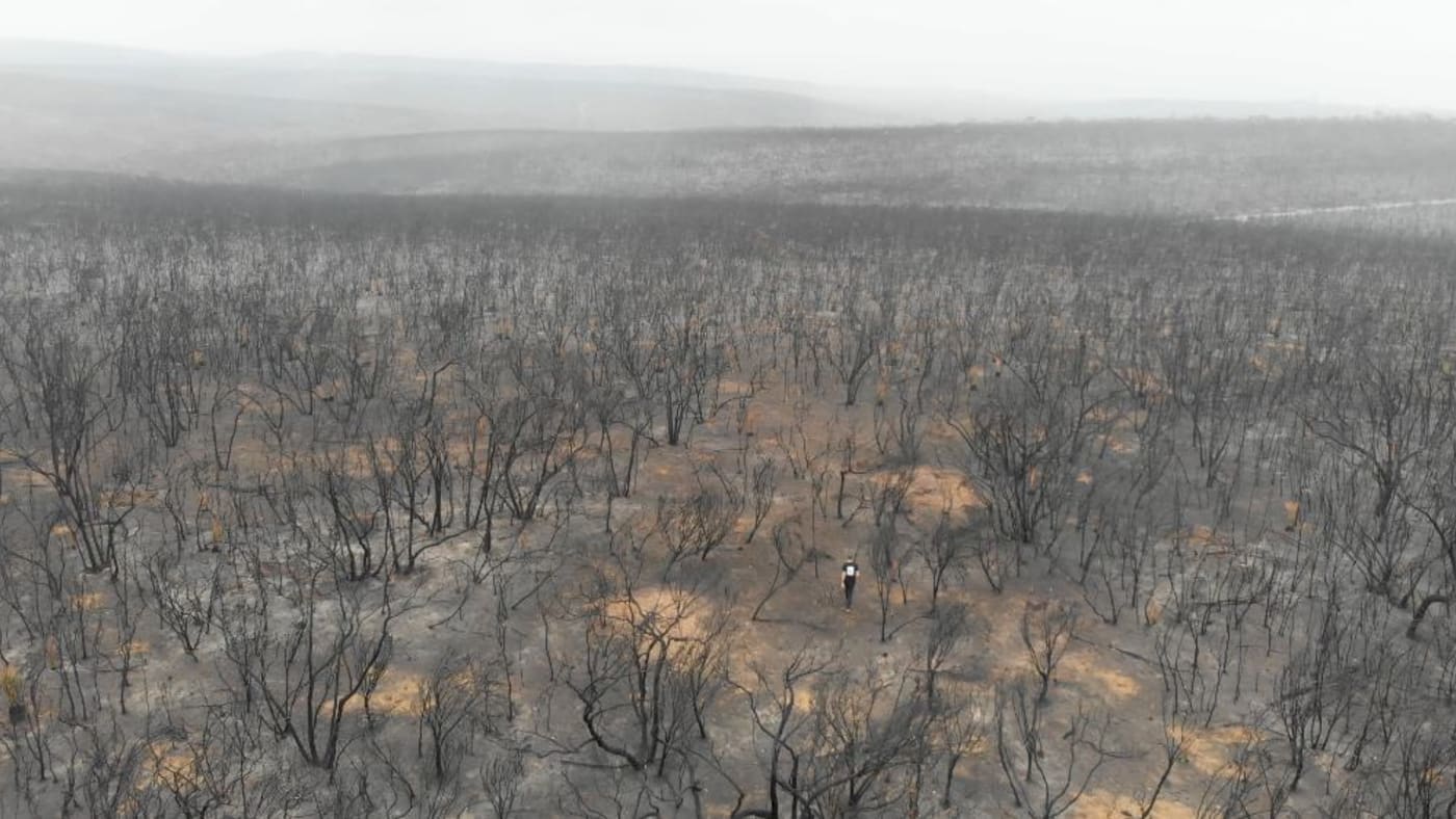 Aerial of the Kangaroo Island bushfire aftermath in 2020
