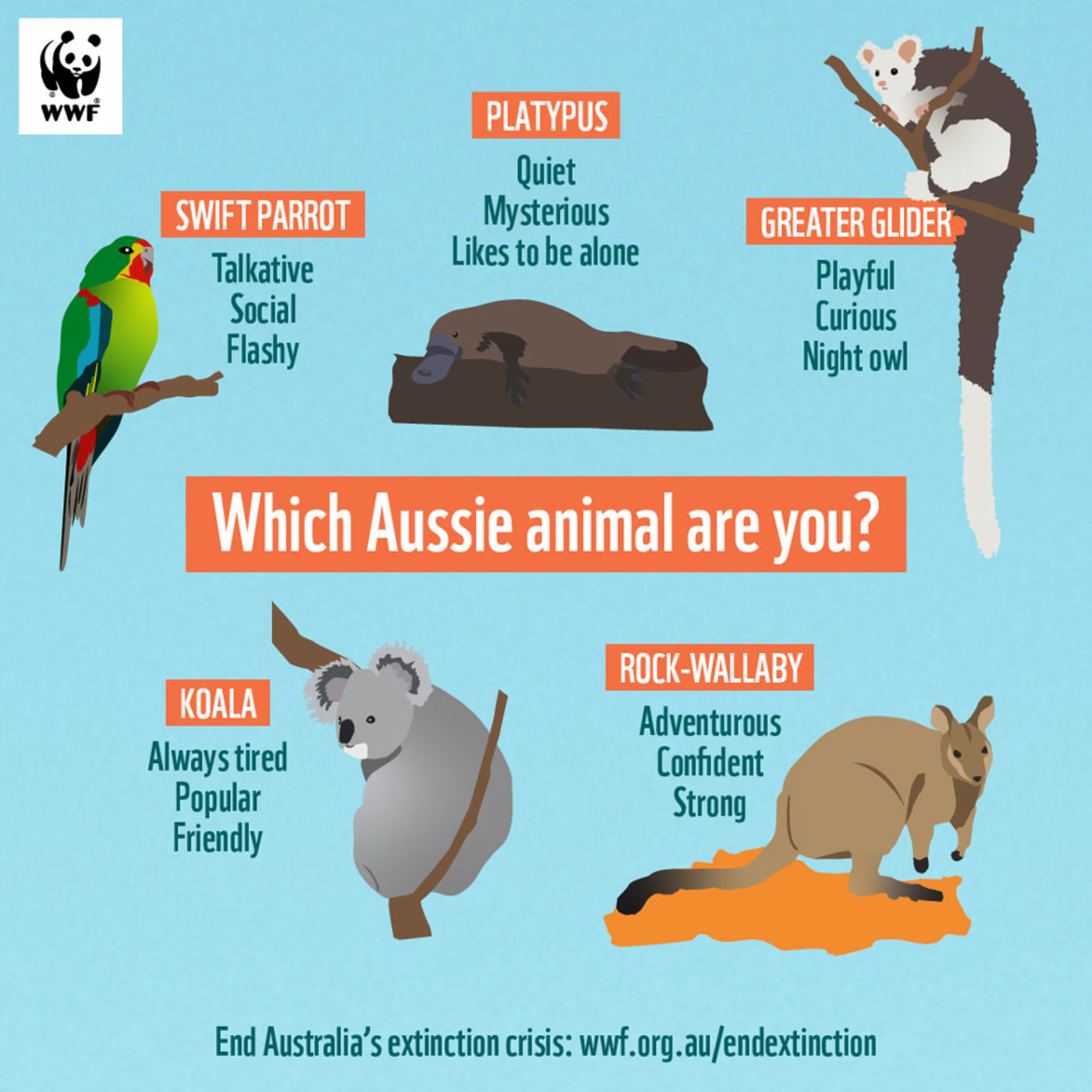 Which Aussie animal are you?