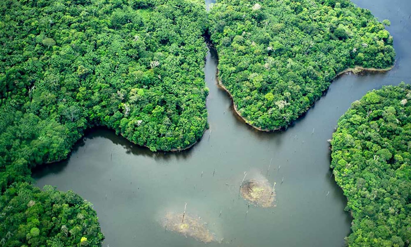 Aerial view of the Uatumã Biological Reserve= Amazon= Brazil