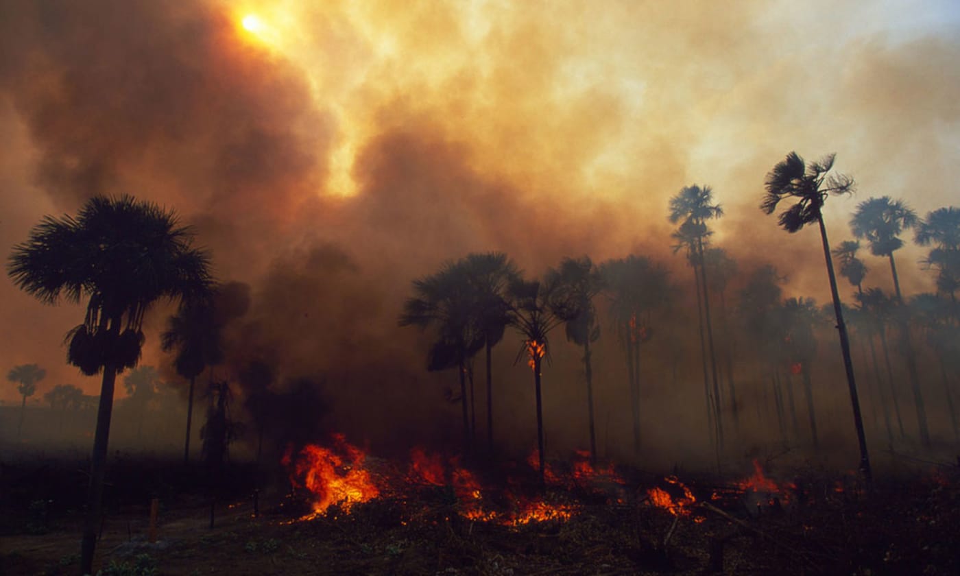 Forest on fire in the Amazon= Brazil