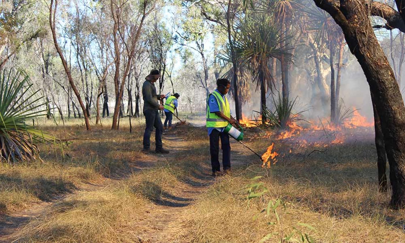 Bardi Jawi Oorany Rangers conduct cool burning to reduce the impact of late-season wildfires