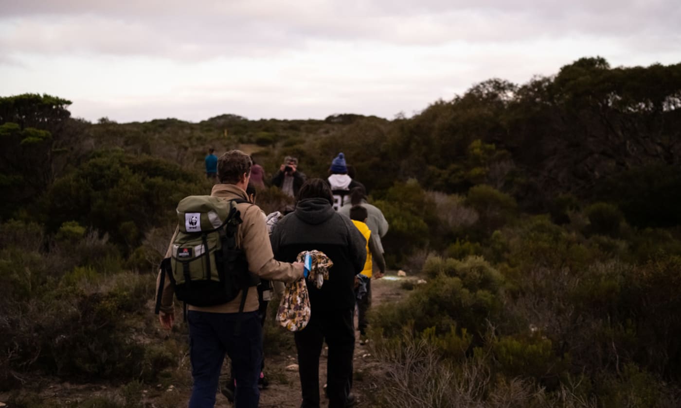 Walking to the bettong release site in Dhilba Guuranda-Innes National Park on Yorke Peninsula